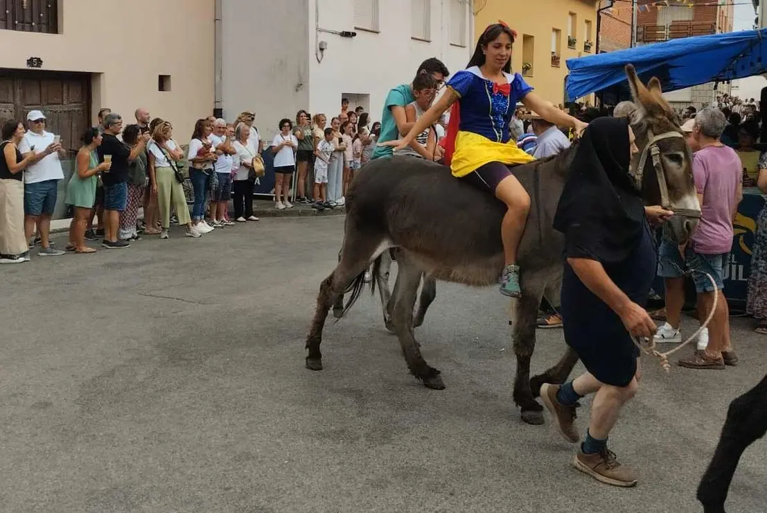 burros (11)