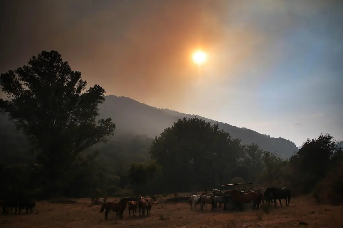 Incendios (5)