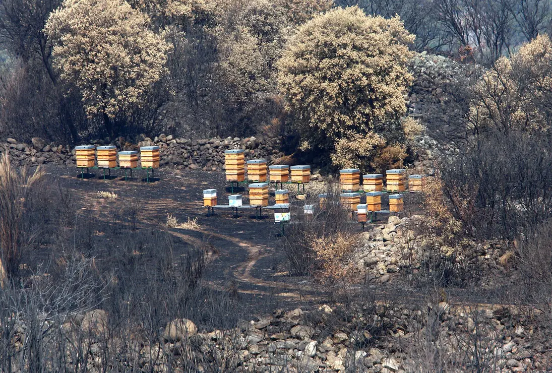 Efectos del incendio iniciado en la localidad de Yeres (León), y que ha afectado al paraje de Las Médulas