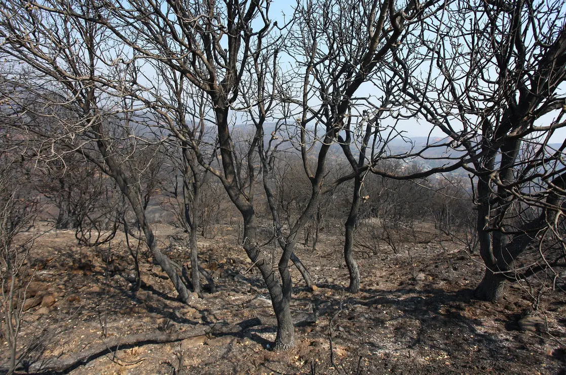 Efectos del incendio iniciado en la localidad de Yeres (León), y que ha afectado al paraje de Las Médulas