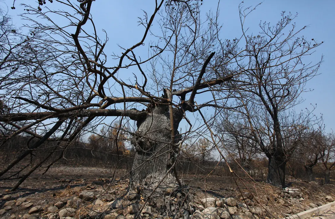 Efectos del incendio iniciado en la localidad de Yeres (León), y que ha afectado al paraje de Las Médulas