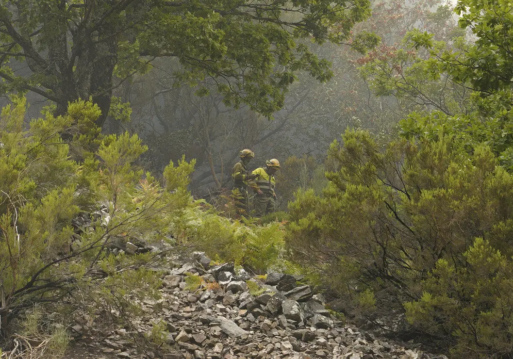 Incendio en Anllares del Sil (León)