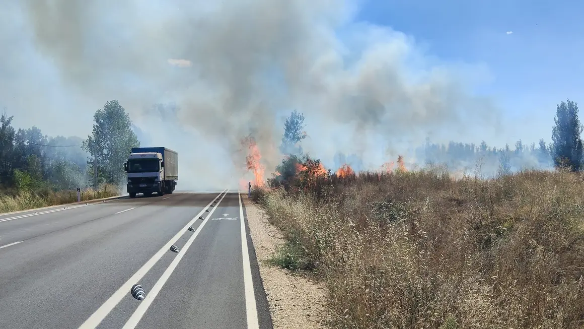 Incendio forestal (3)