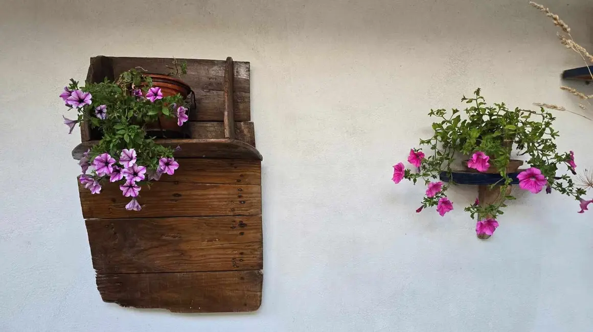 Patios (2)