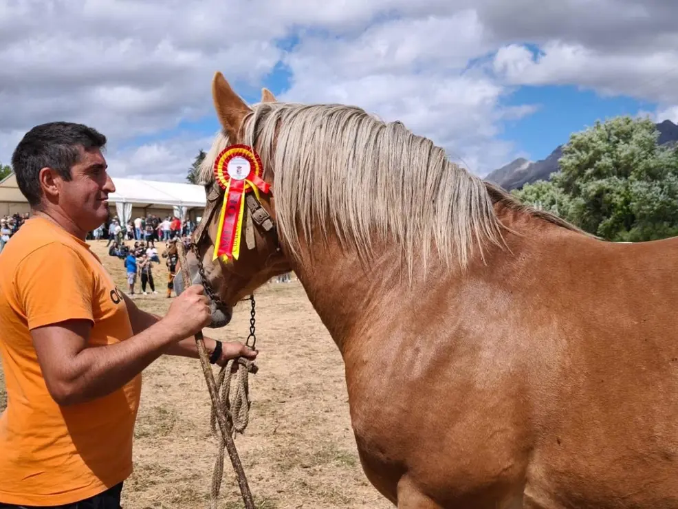XXXV Concurso Hispano Bretón en San Emiliano