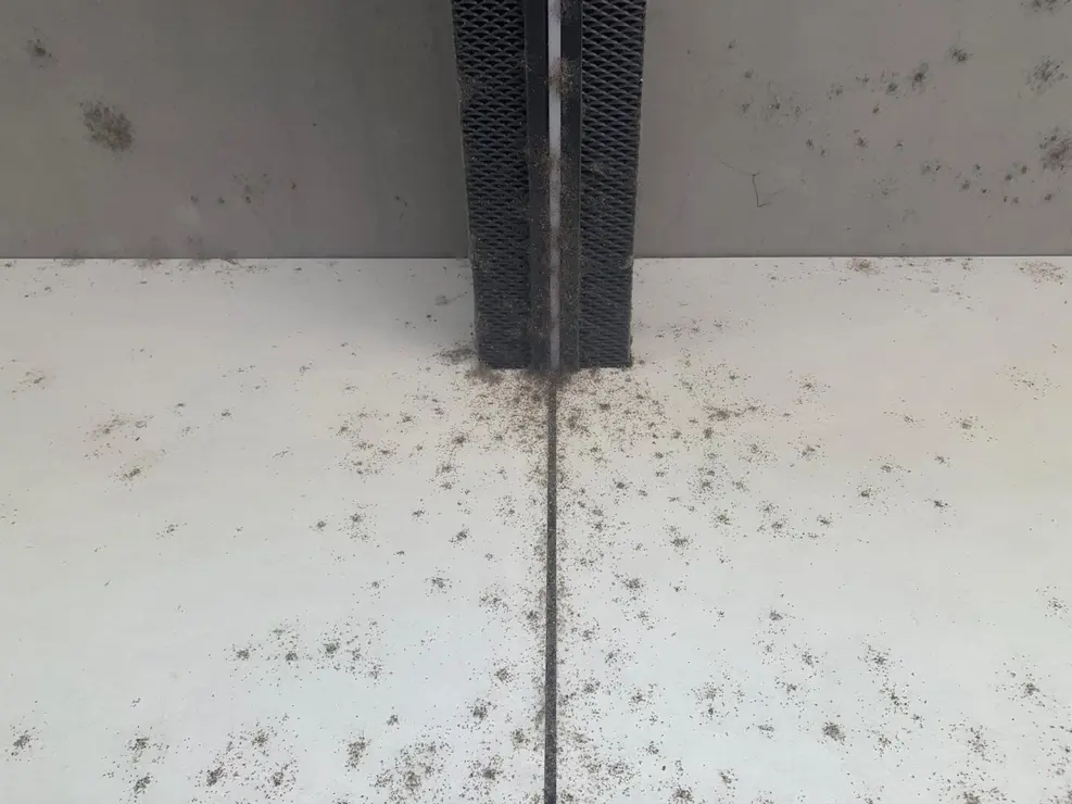 insectos estación autobus (1)