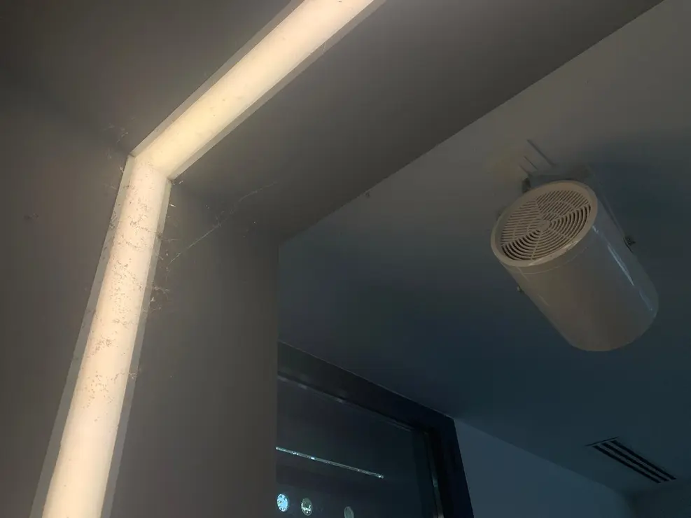 insectos estación autobus (2)