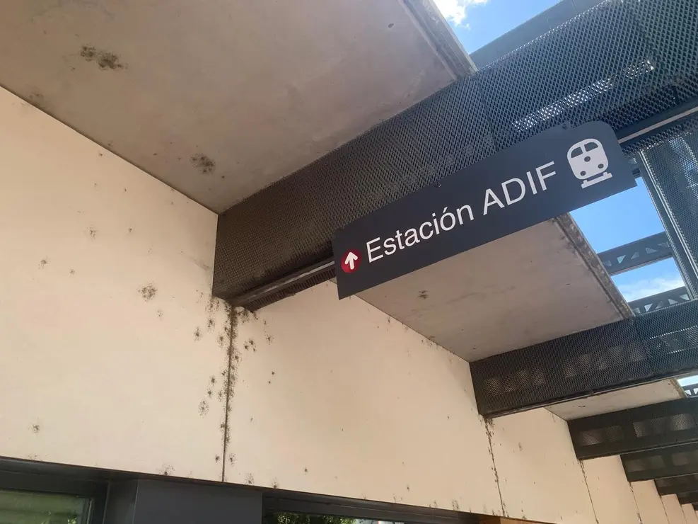 insectos estación autobus (3)