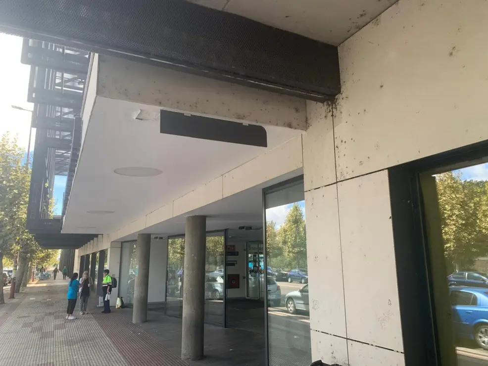 insectos estación autobus (4)