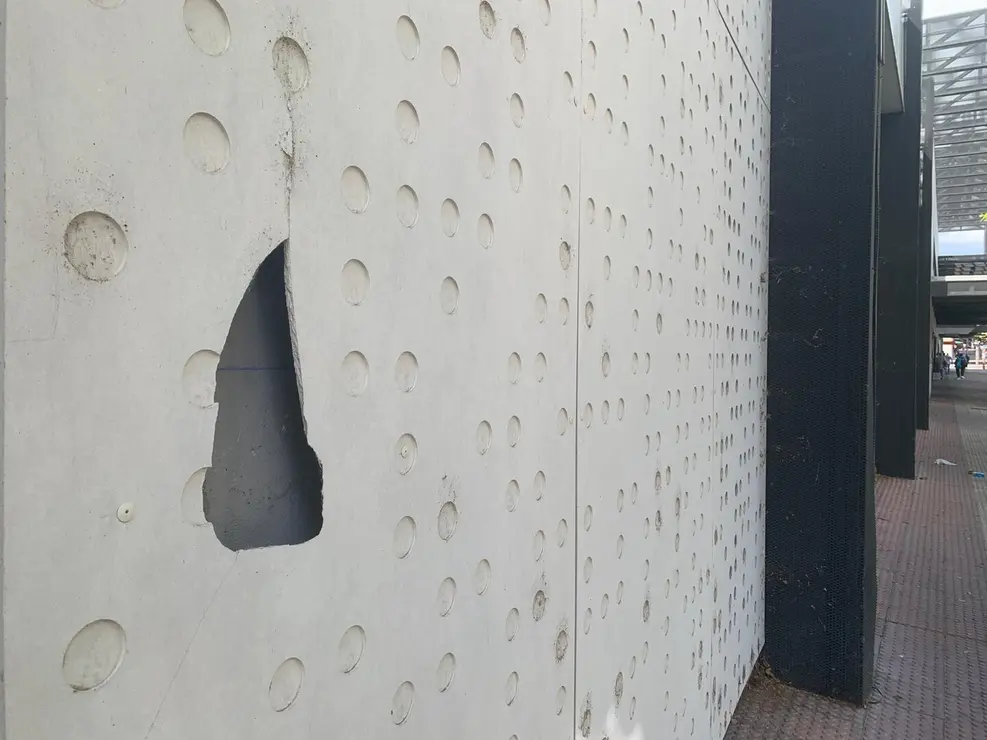 insectos estación autobus (9)