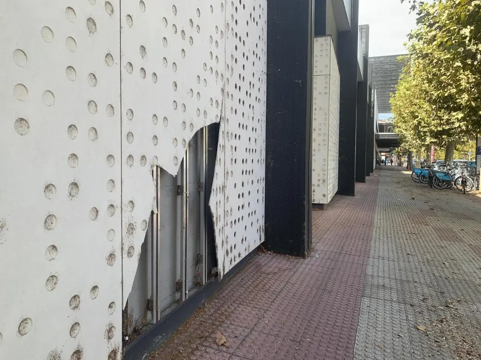 insectos estación autobus (10)