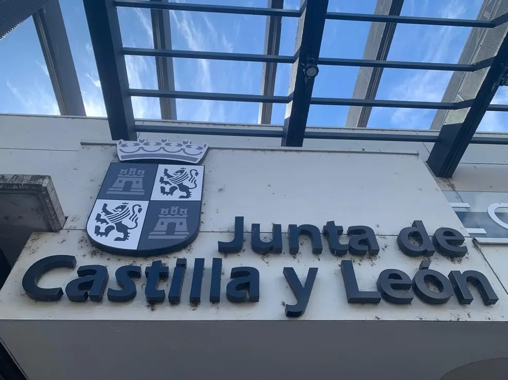 insectos estación autobus (11)