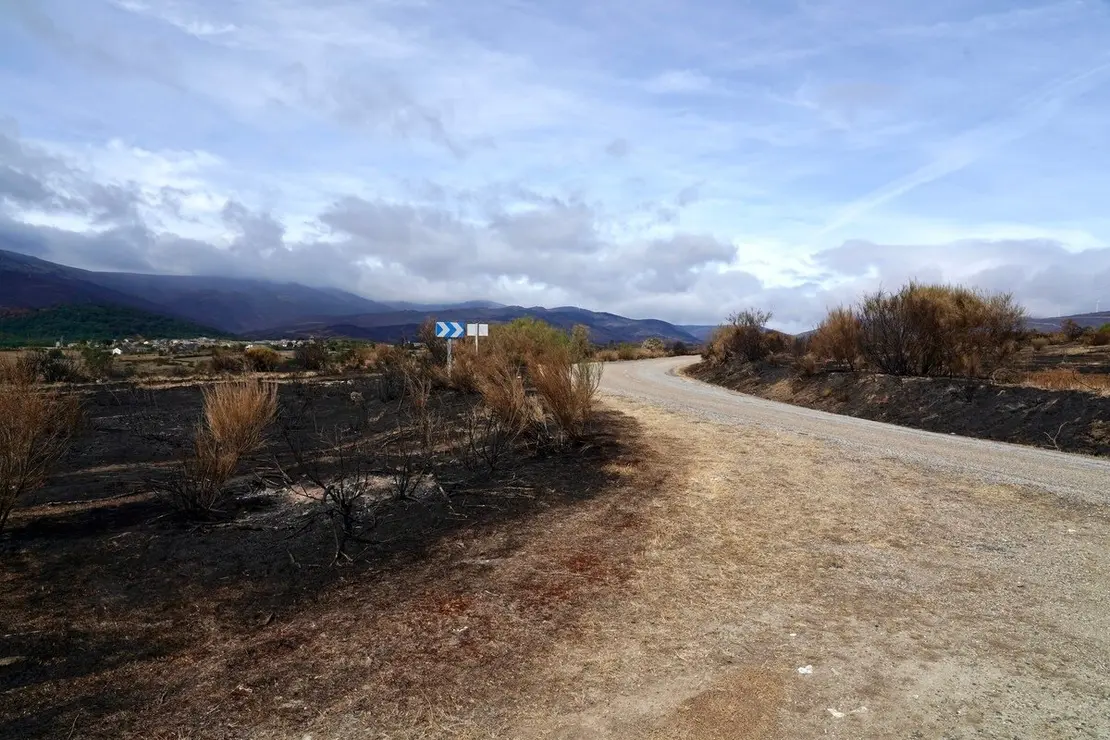 La consejera de Agricultura, Ganadería y Desarrollo Rural, María González Corral, visita una ganadería de ovino afectada por los incendios en Chana de Somoza, en el municipio de Lucillo (León)