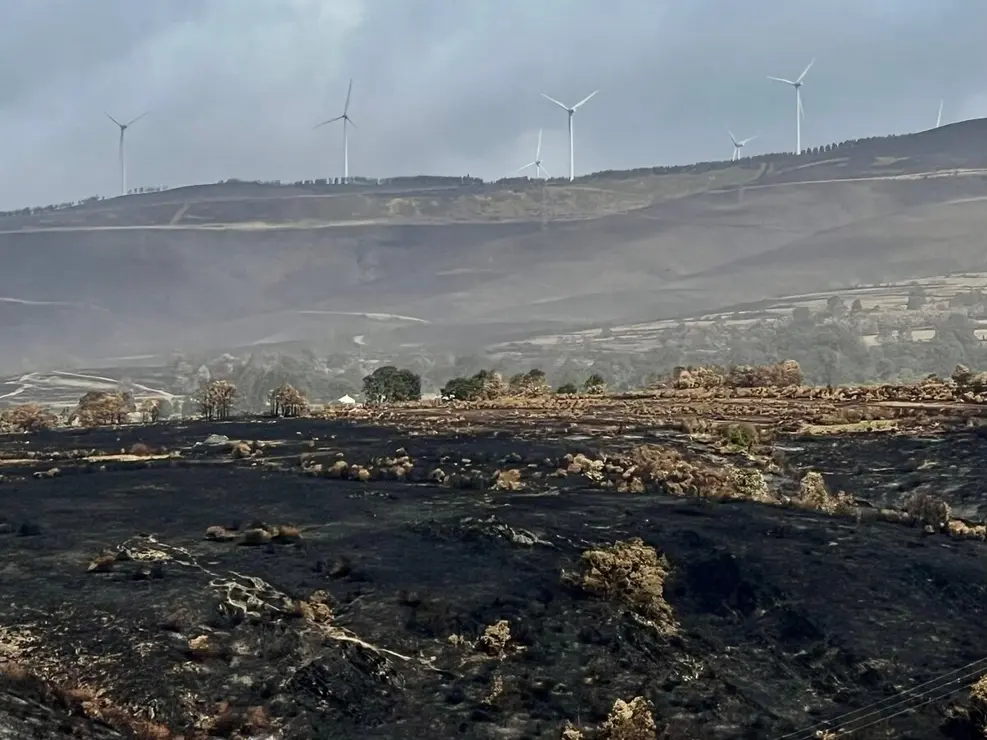 La consejera de Agricultura, Ganadería y Desarrollo Rural, María González Corral, visita una ganadería de ovino afectada por los incendios en Chana de Somoza, en el municipio de Lucillo (León)