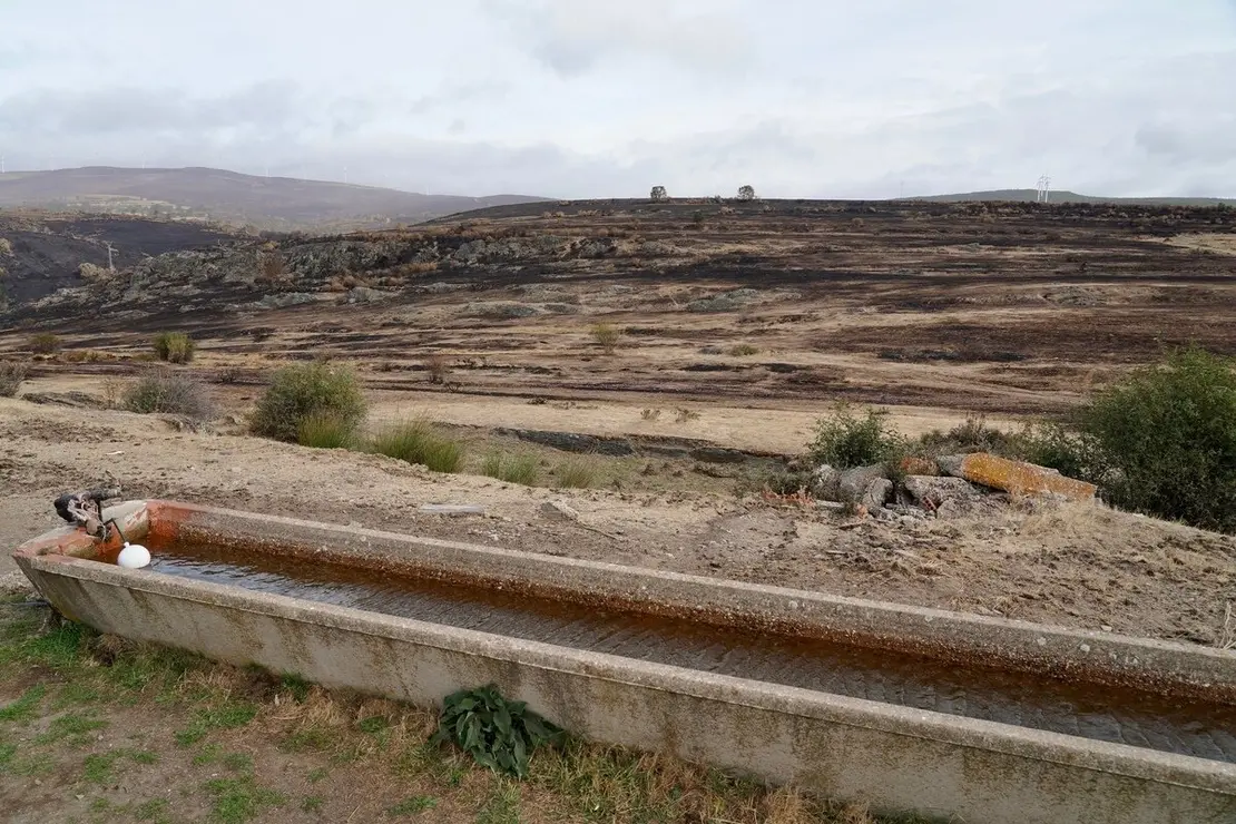 La consejera de Agricultura, Ganadería y Desarrollo Rural, María González Corral, visita una ganadería de ovino afectada por los incendios en Chana de Somoza, en el municipio de Lucillo (León)
