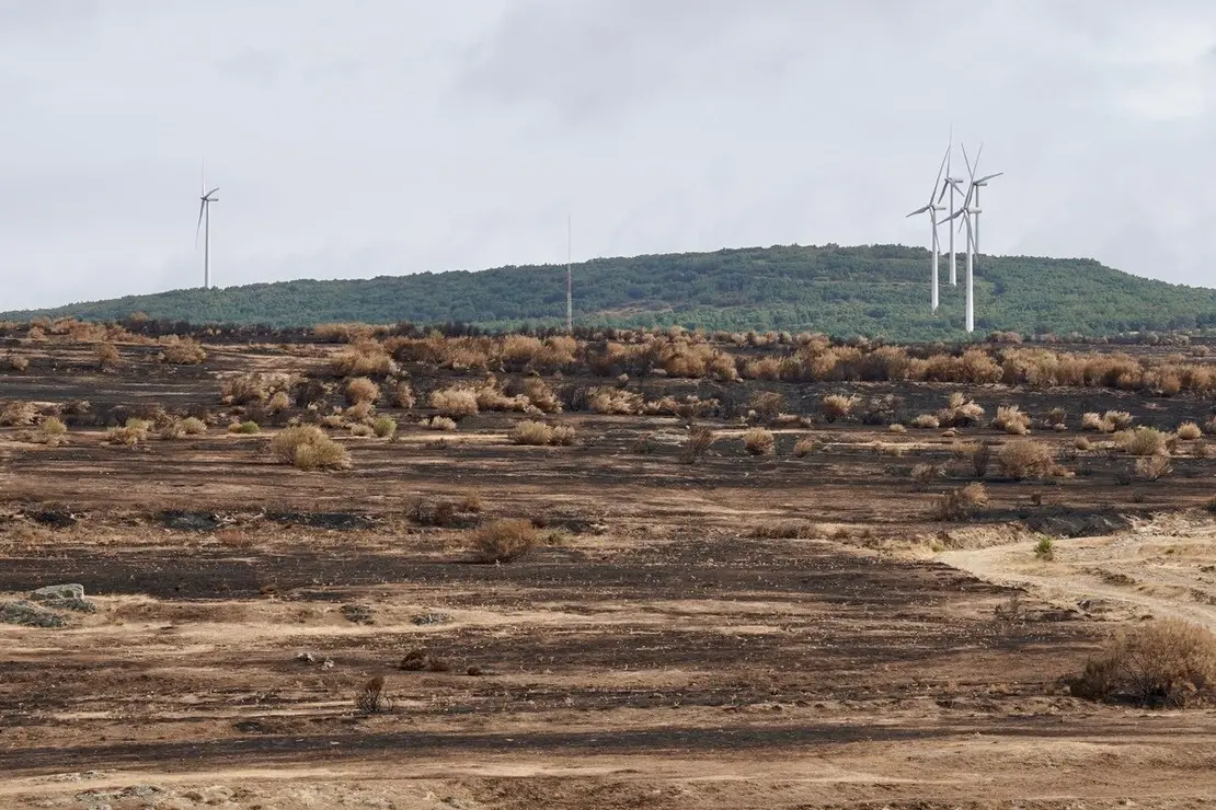 La consejera de Agricultura, Ganadería y Desarrollo Rural, María González Corral, visita una ganadería de ovino afectada por los incendios en Chana de Somoza, en el municipio de Lucillo (León)