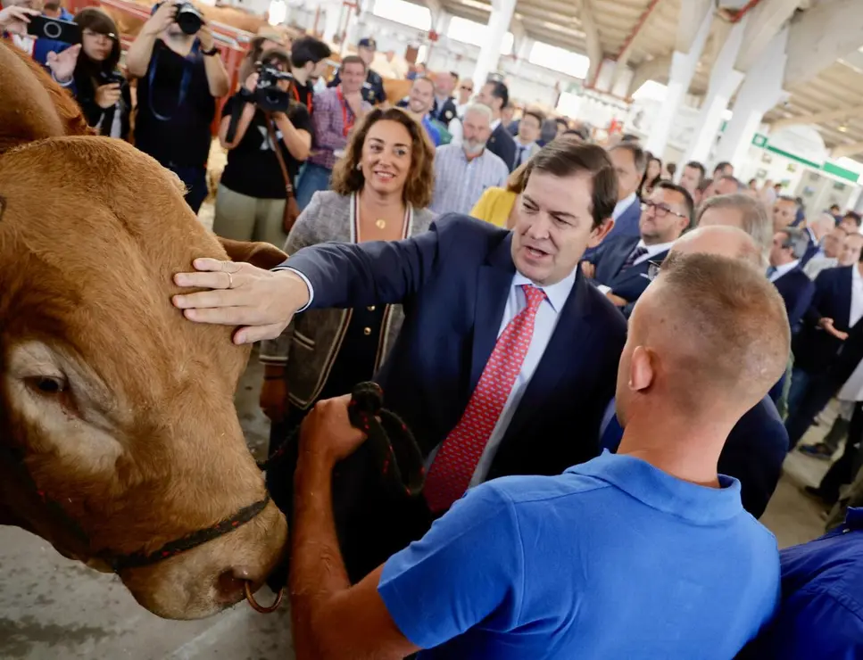 El presidente de la Junta de Castilla y León, Alfonso Fernández Mañueco, junto con el presidente de la Diputación de Salamanca, Javier Iglesias, inaugura Salamaq 2025, la Feria del Sector Agropecuario y 36 Exposición Internacional de Ganado Puro, que se celebra del 4 al 8 de septiembre. Fotos: Susana Martín
