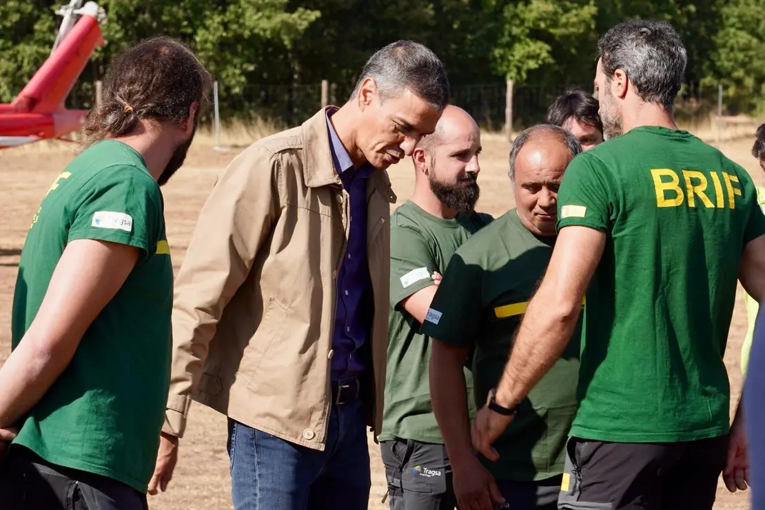 Pedro Sánchez (3)