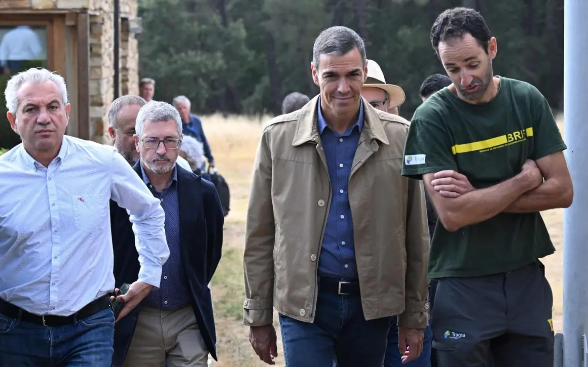 PedroS (16)