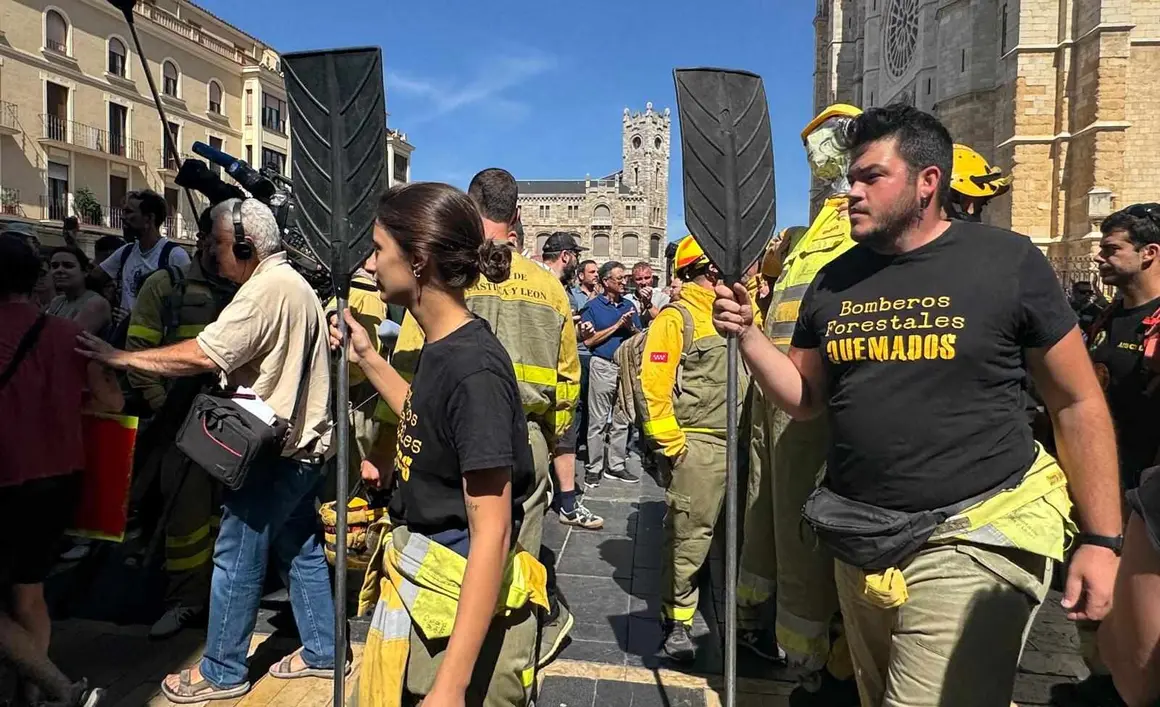 Bomberos forestales (5)