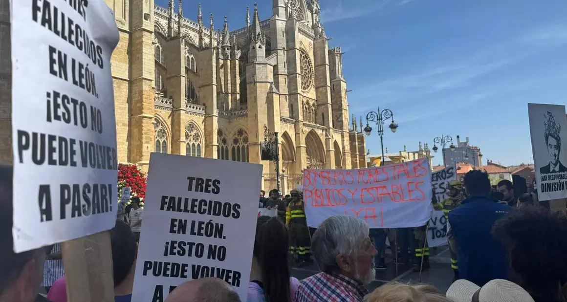 Manifestacion (13)