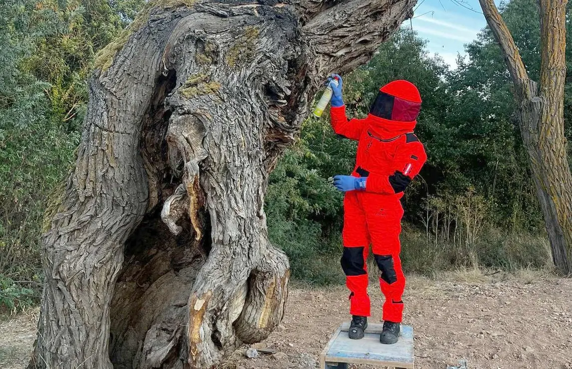 Los Bomberos de la Diputación de León (Sepeis) han intervenido en varios puntos de la provincia durante el fin de semana. Incendios, nidos de cigüeña y velutina y fuegos de pasto marcaron una intensa actividad para los parques de Celada, Cistierna y Valencia de Don Juan.