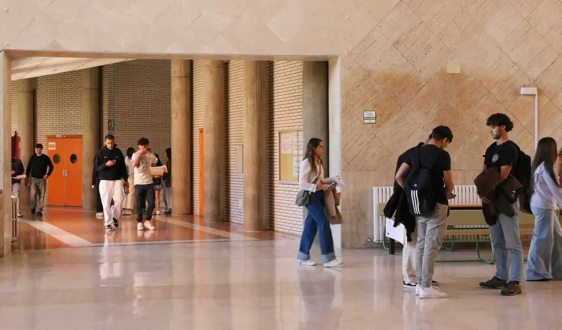 iNICIO DE CURSO 2025 ule (9)