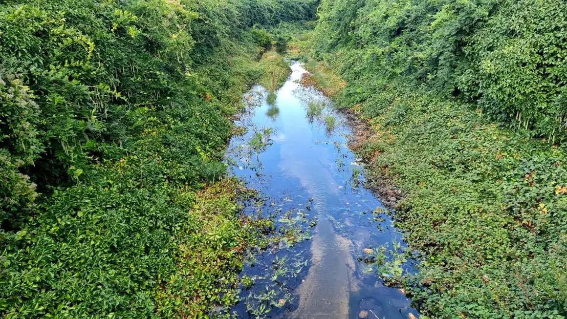 Carbosillo Área 17 (2)