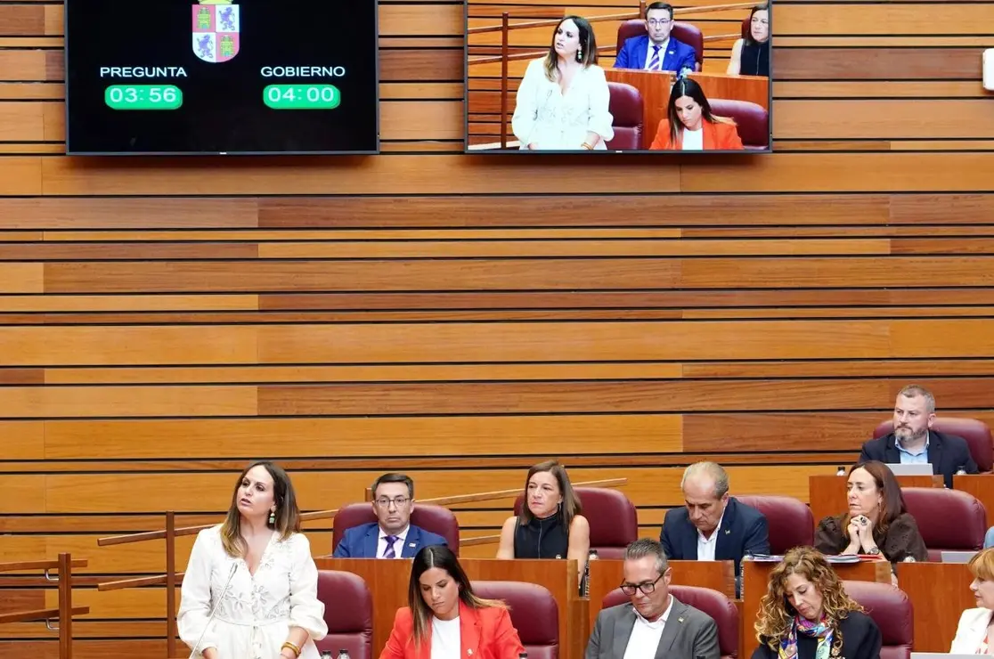 Pleno Cortes (2)