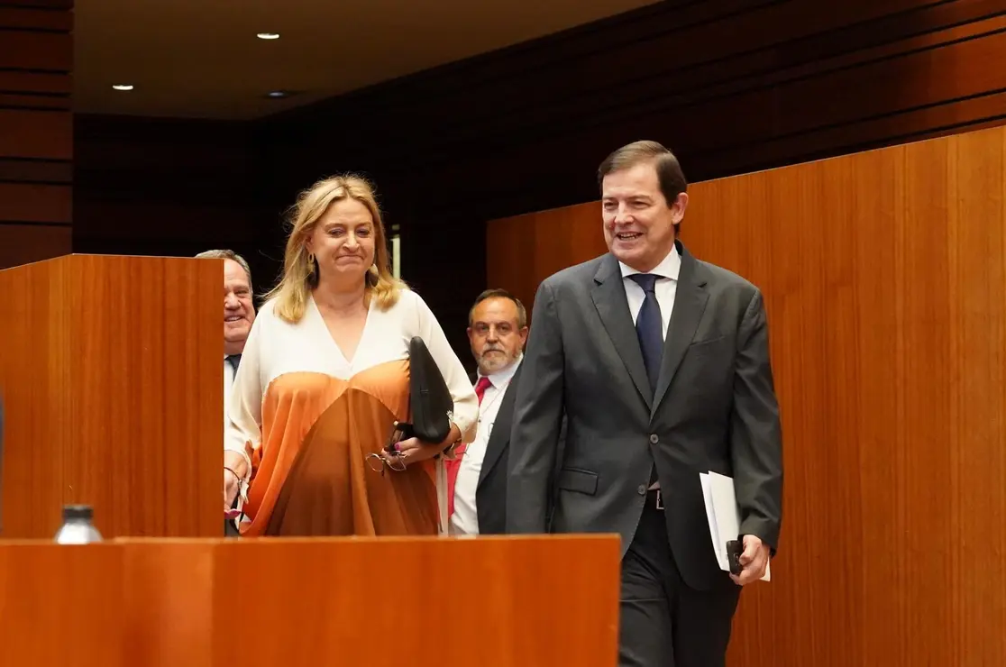 Pleno Cortes (4)