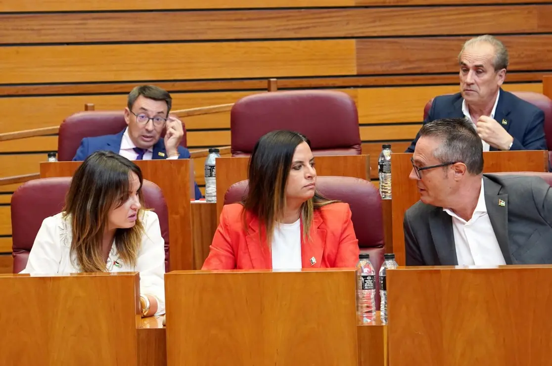 Pleno Cortes (8)