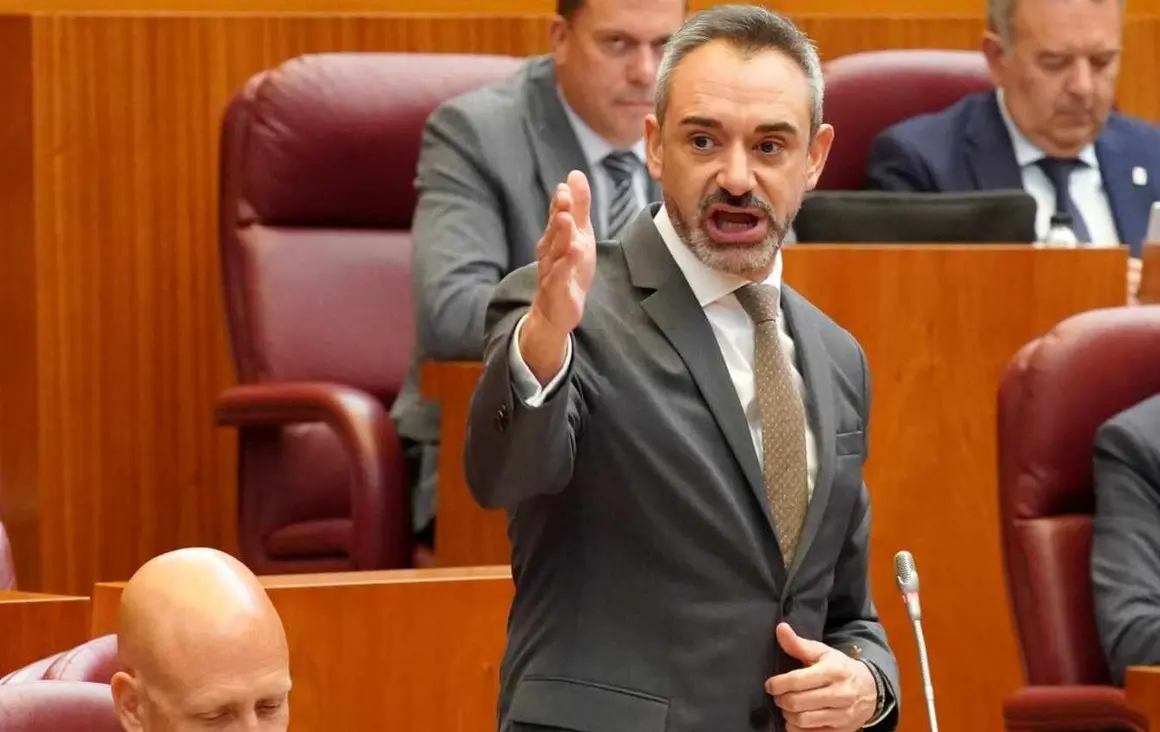 Pleno Cortes (11)