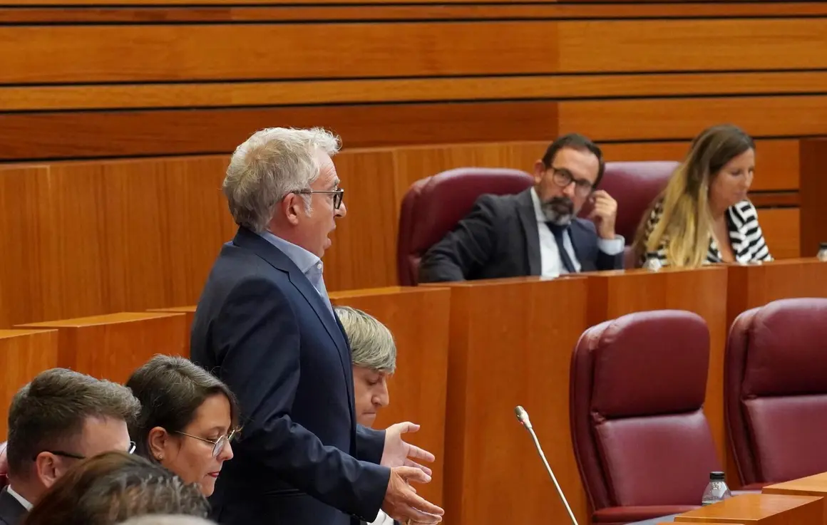 Pleno Cortes (15)