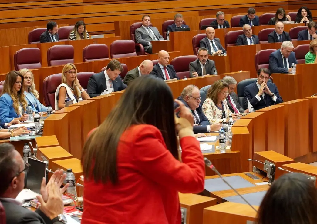 Pleno Cortes (17)