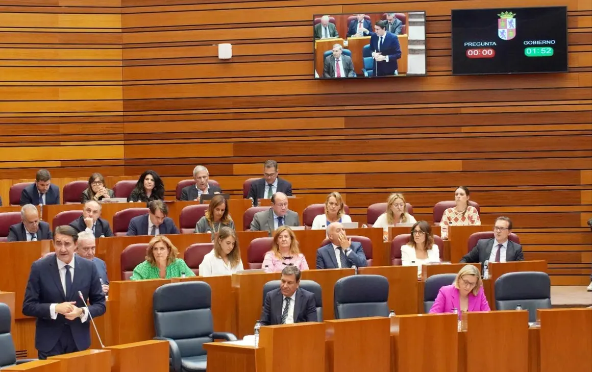 Pleno Cortes (18)