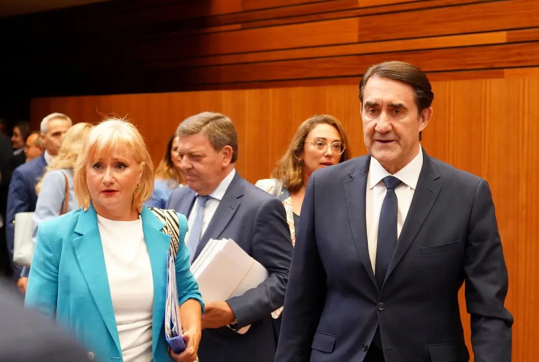 Pleno Cortes (19)
