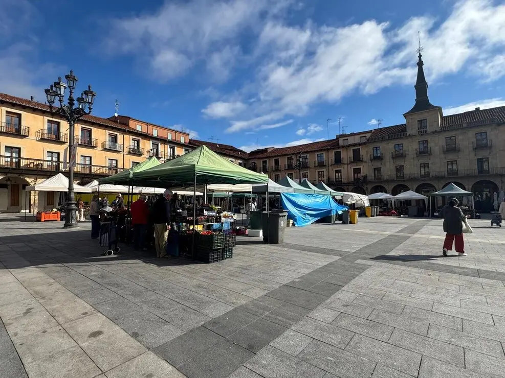 mercado Plaza Mayor (13)