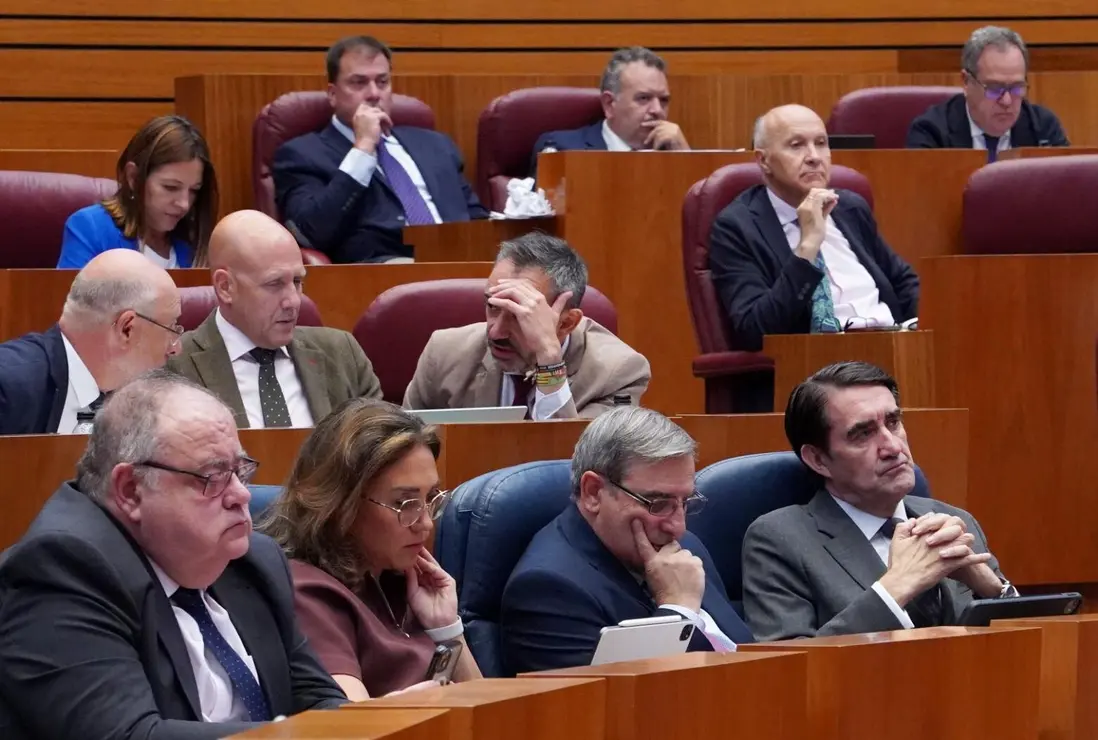 Pleno en las Cortes (4)