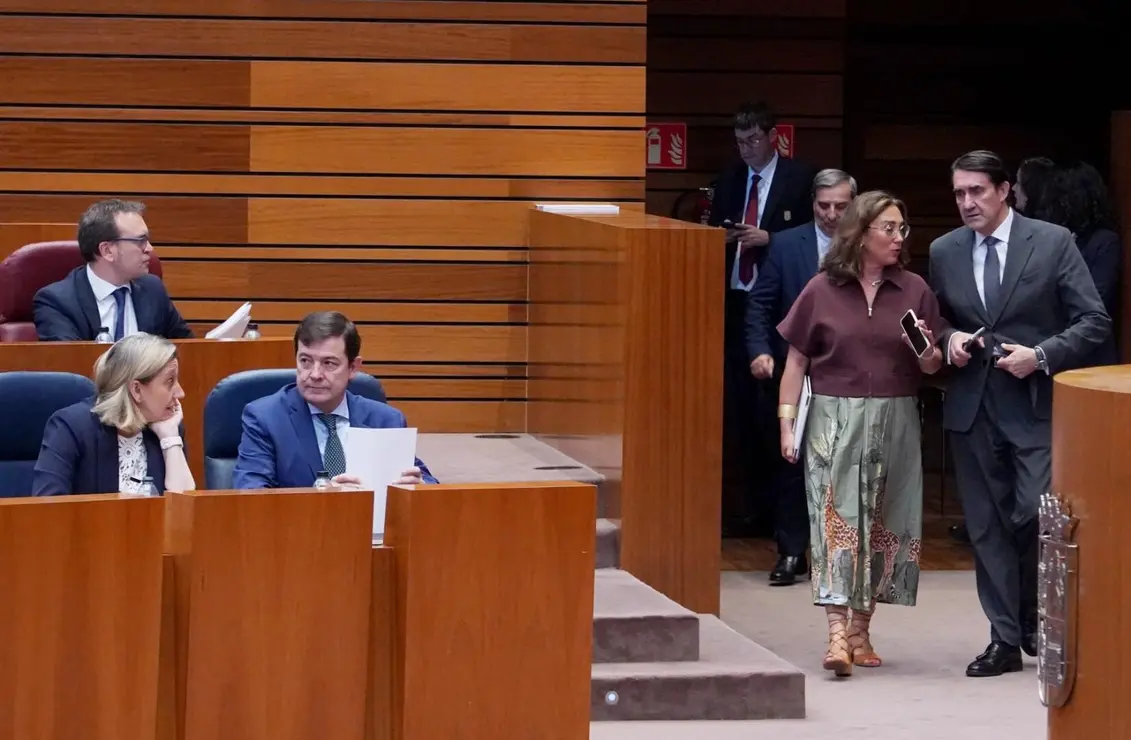 Pleno en las Cortes (13)