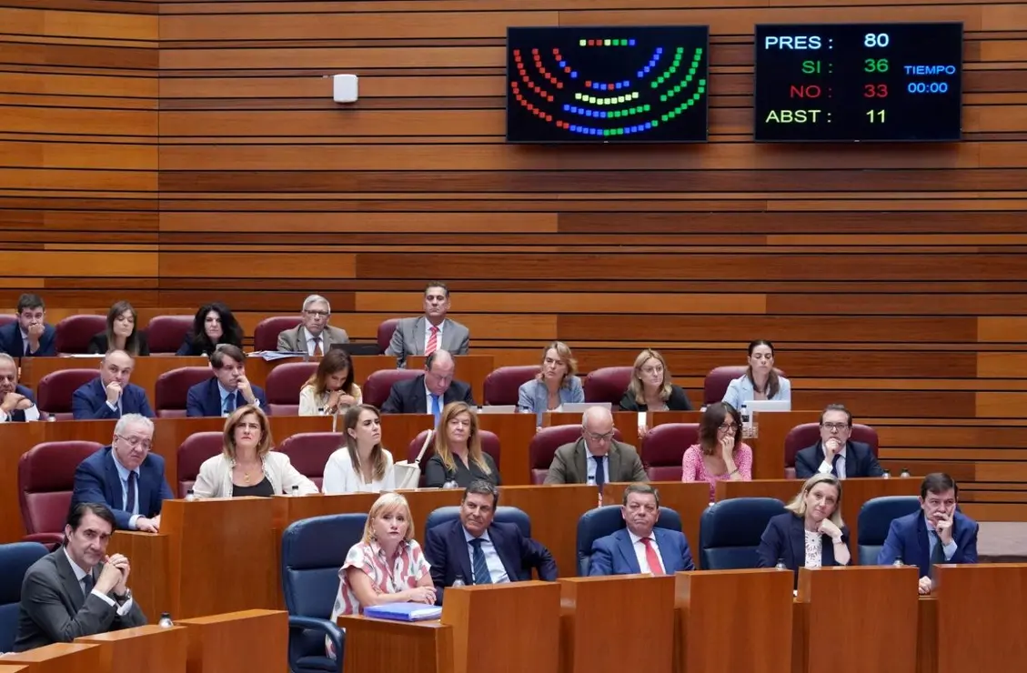 Pleno en las Cortes (16)