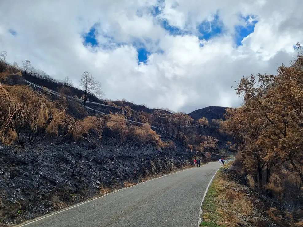 Morredero incendios (4)