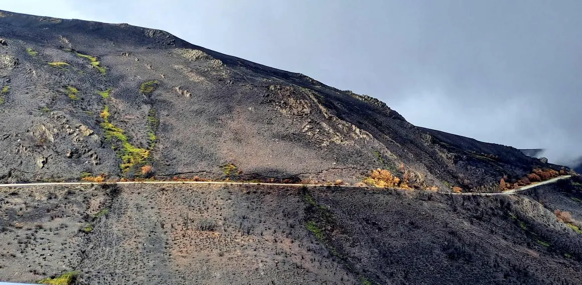 El Alto del Morredero, escenario final de la decimoséptima etapa de La Vuelta a España 2025, ofreció este miércoles unas imágenes impactantes. El fuego que arrasó la comarca de Llamas de Cabrera ha transformado un paraje verde y lleno de vida en un paisaje desértico y negro, salpicado por algunos árboles y matojos que recuerdan la riqueza natural que antes albergaba el monte.