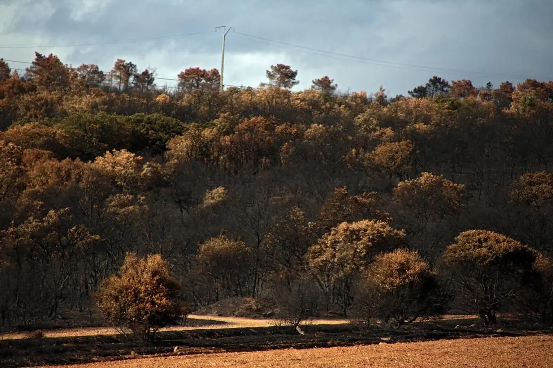 Castrocalbón (30)