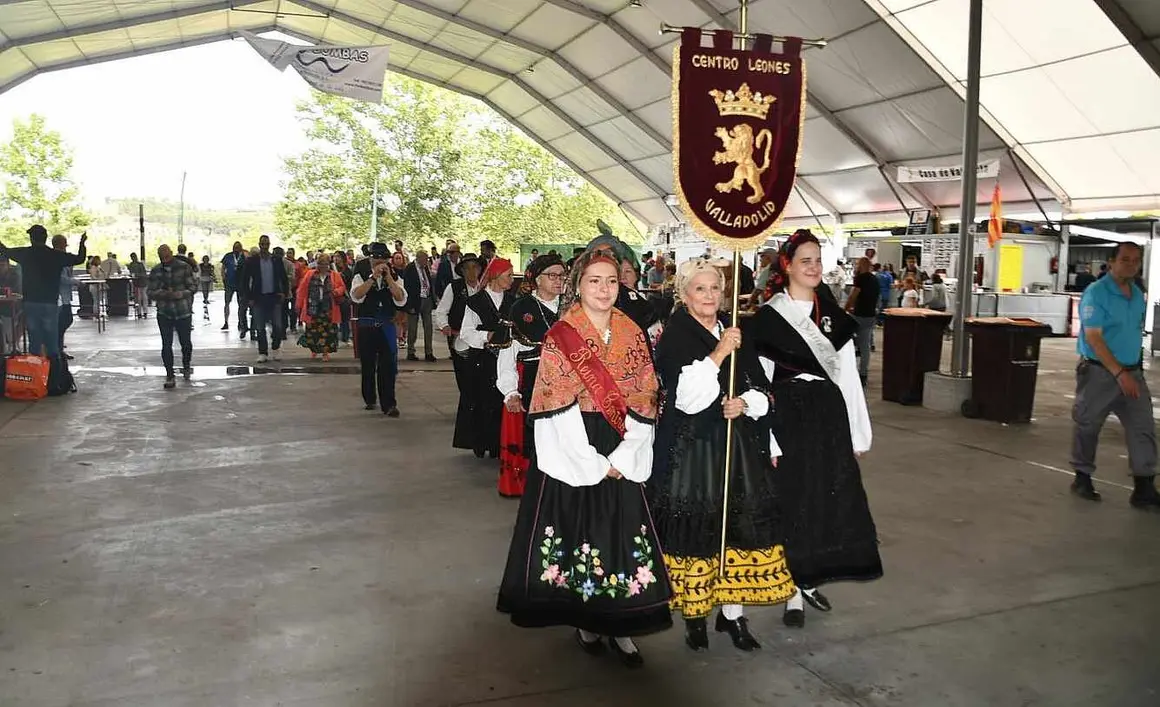 Día de León en Valladolid (1)