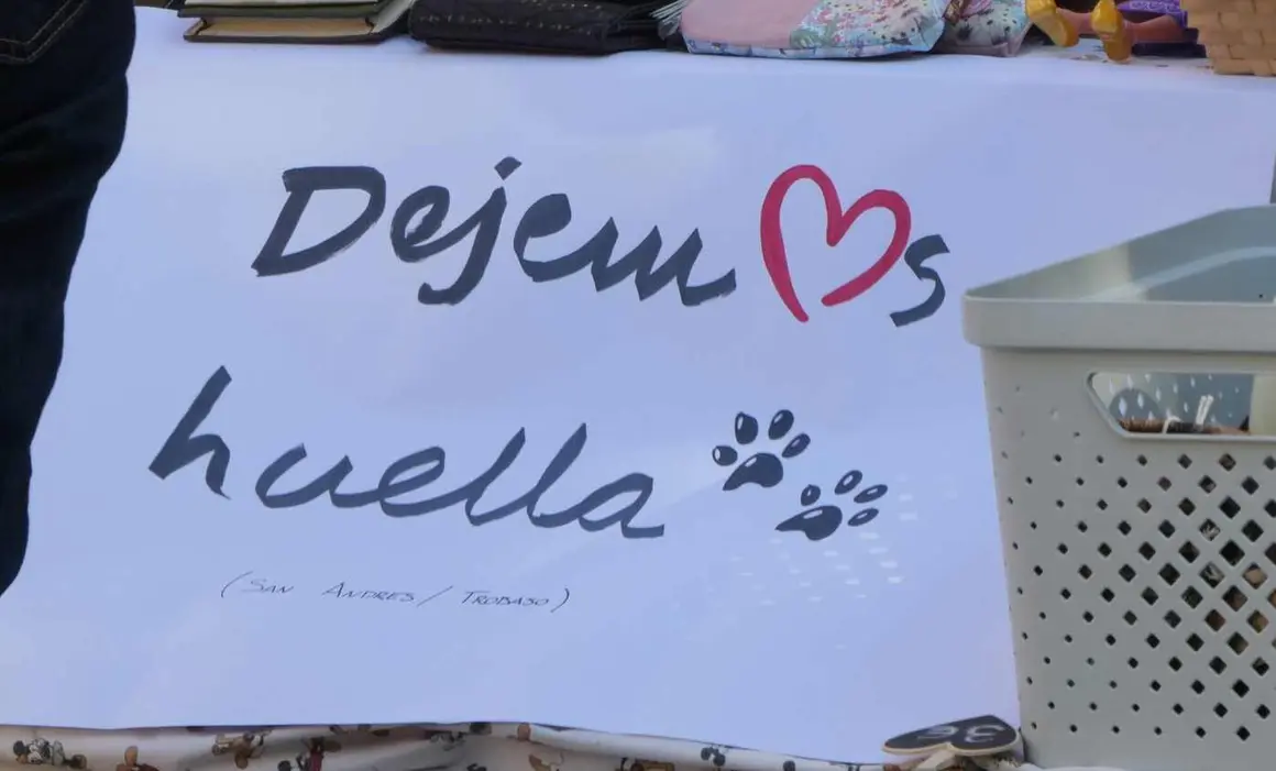 Perrunos (3)