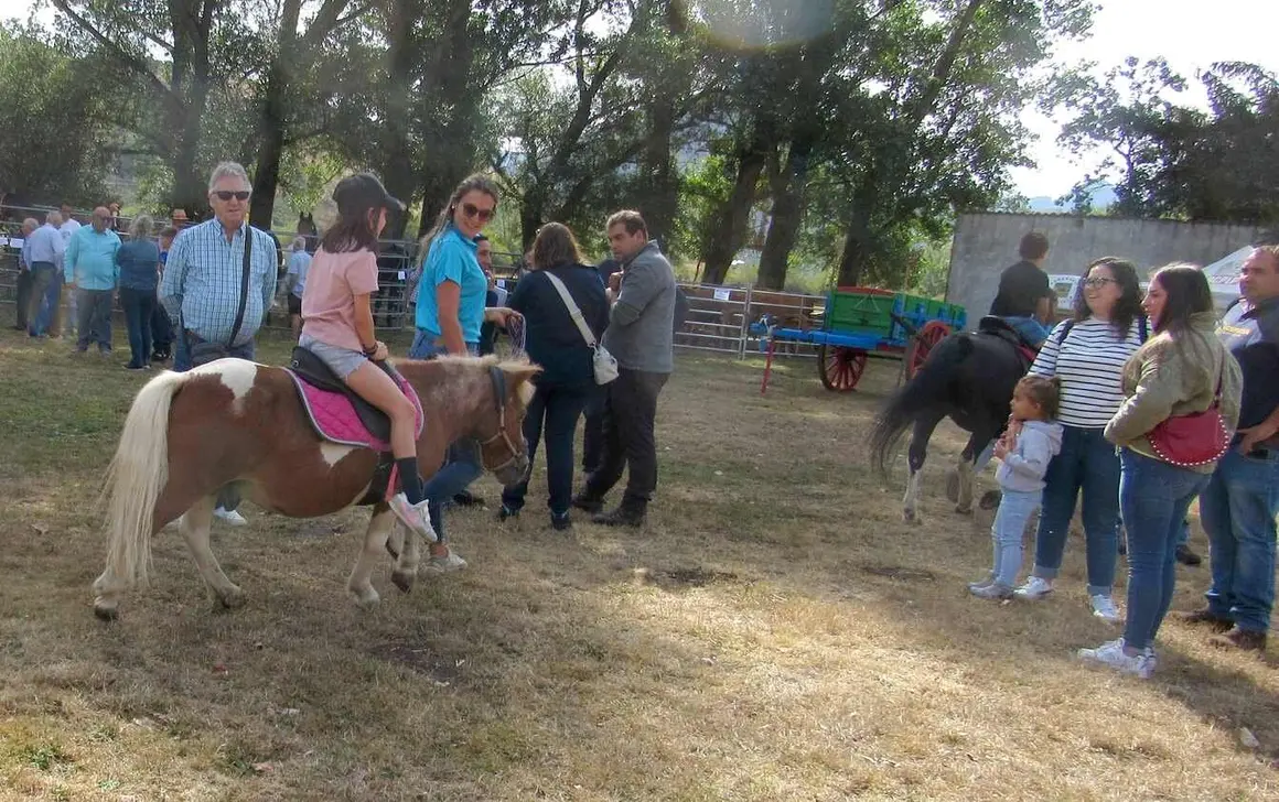 Miguel A Gonzalez Castañon (6)