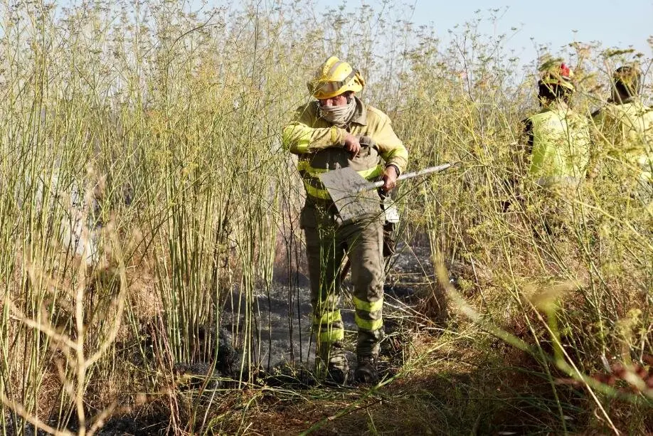 La Junta reconocerá la categoría de 'bombero forestal' a los miembros del operativo antiincendios tras años de reclamación de esta medida.