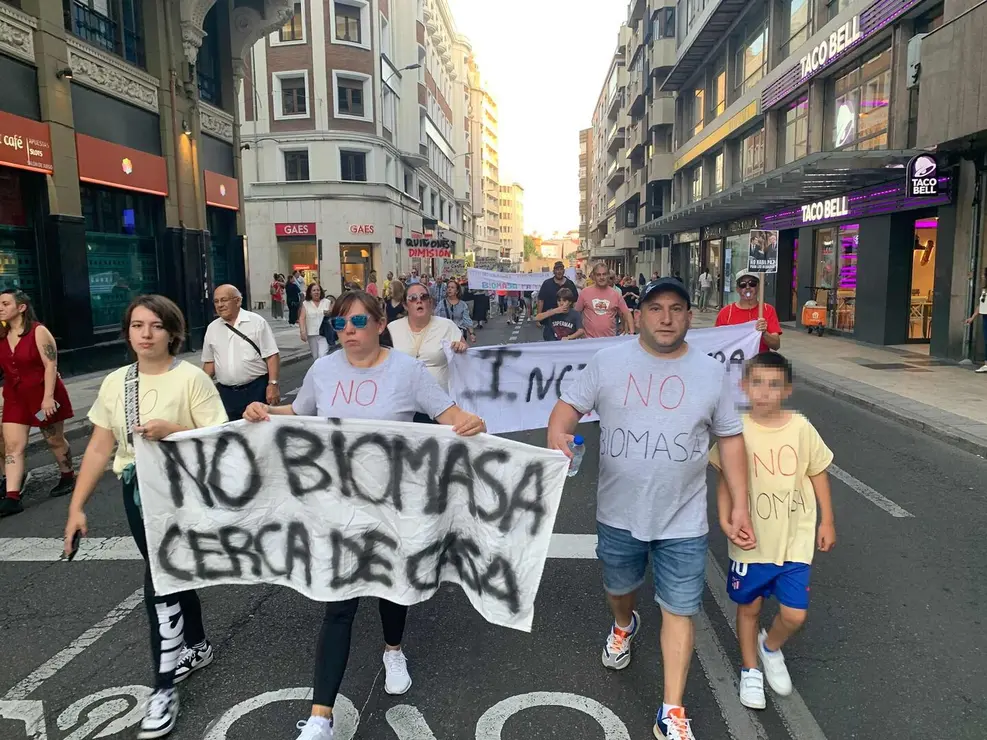 biomasa (7)