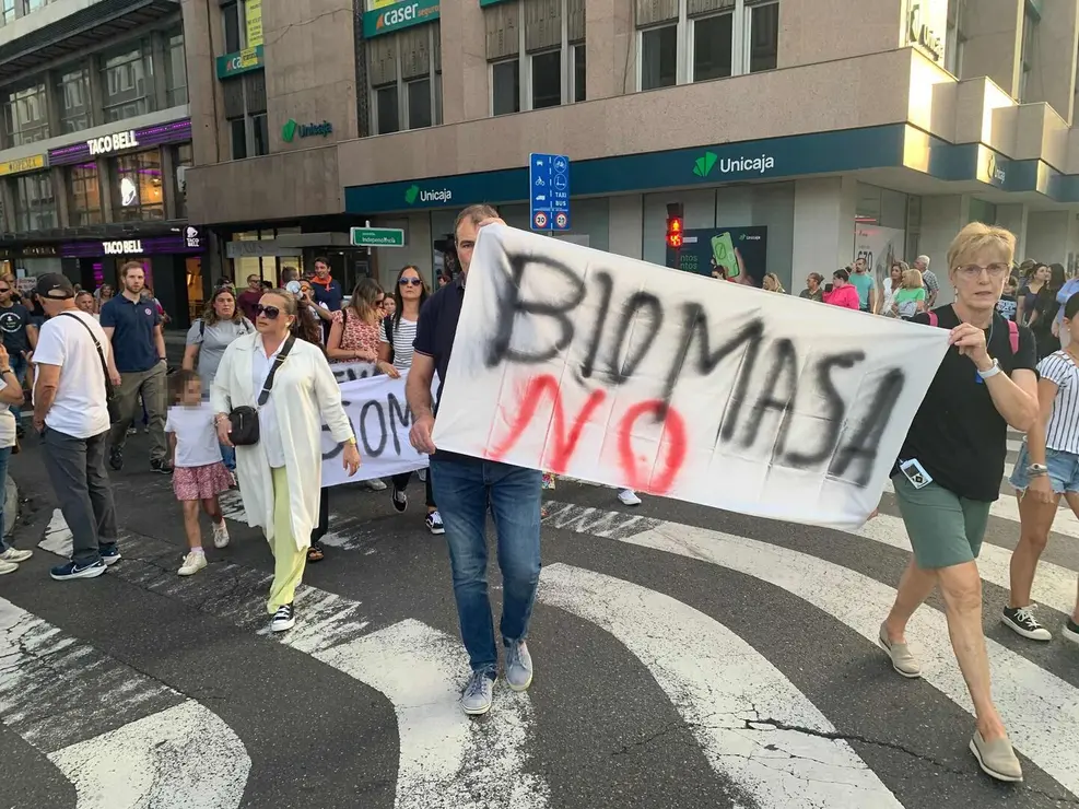 biomasa (10)