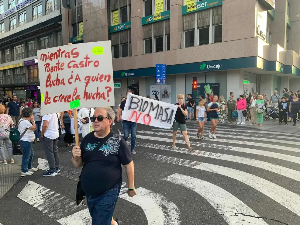 biomasa (11)